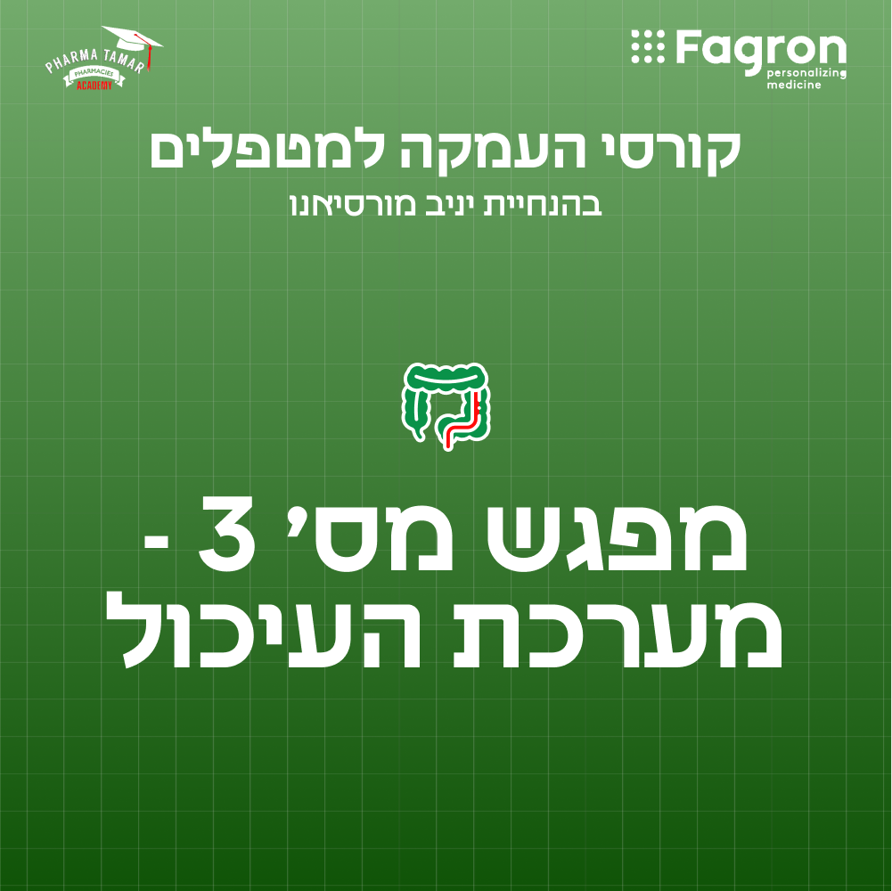 מפגש 3