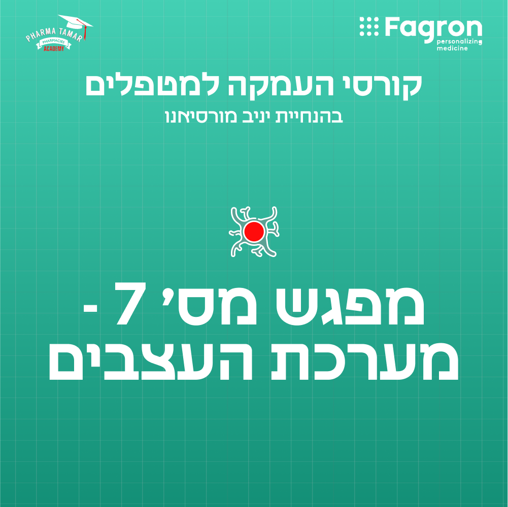 מפגש 7